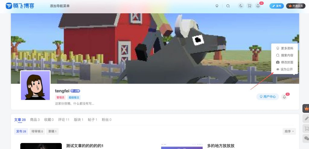子比主题 – 个人主页公开/私密功能-小柯博客